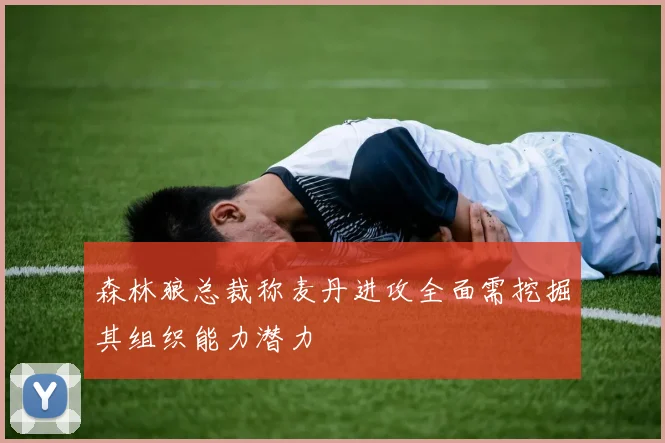 森林狼总裁称麦丹进攻全面需挖掘其组织能力潜力